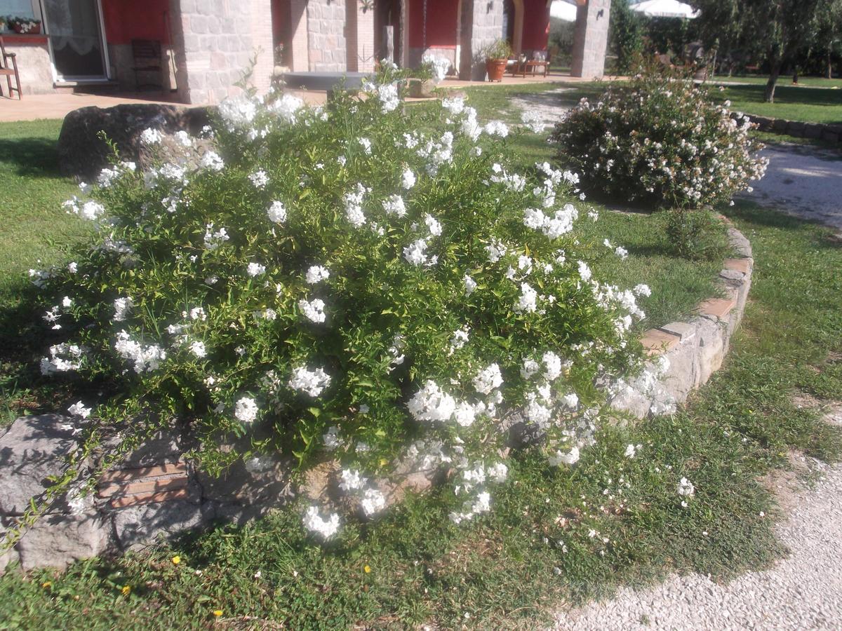 Agriturismo Casal Grande Canepina Εξωτερικό φωτογραφία